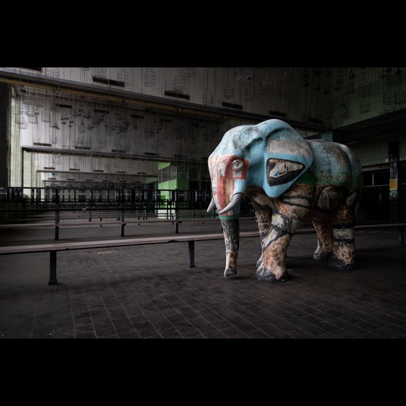 spyingelephants